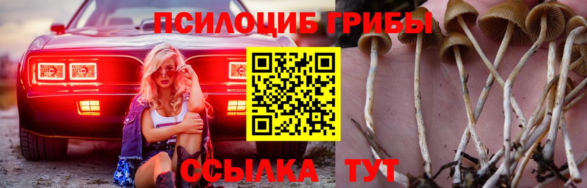 Галлюциногенные грибы мицелий  Вход с VPN  Псилоцибиновые грибы ЛСД  Малгобек 